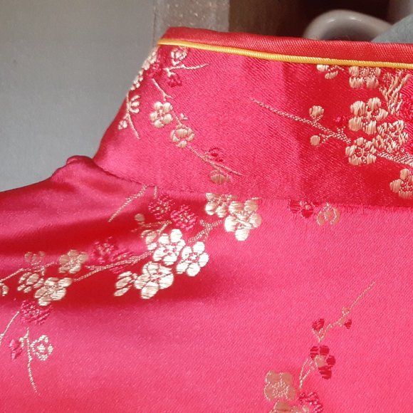 Authentic Vintage Chinese Maxi Evening Dress - Silk - Picture 5 of 9